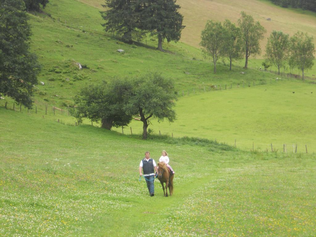 Ferienwohnung Der Perweinhof Donnersbachwald Exterior foto