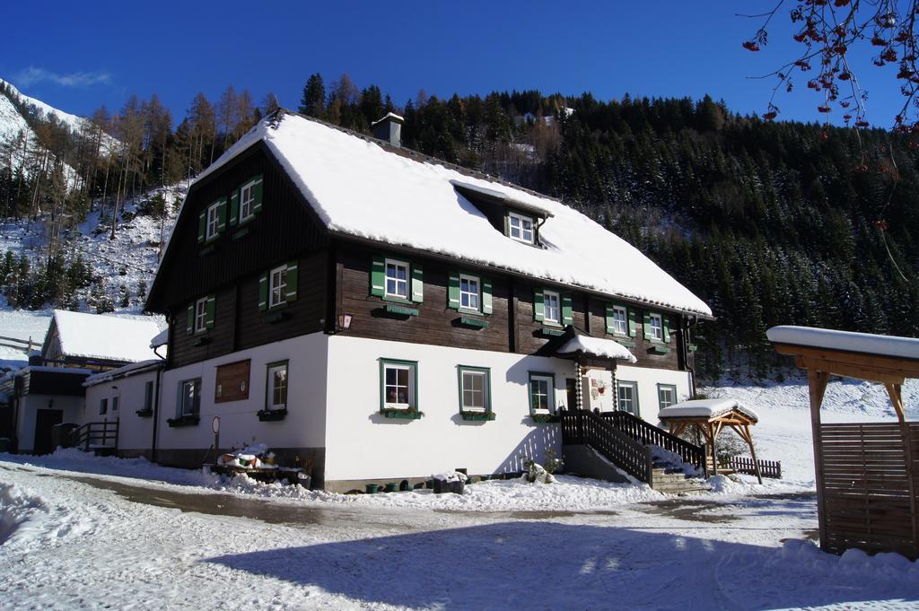 Ferienwohnung Der Perweinhof Donnersbachwald Exterior foto